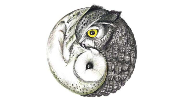 'Owl Yin and Yang' artwork by Charl Malan