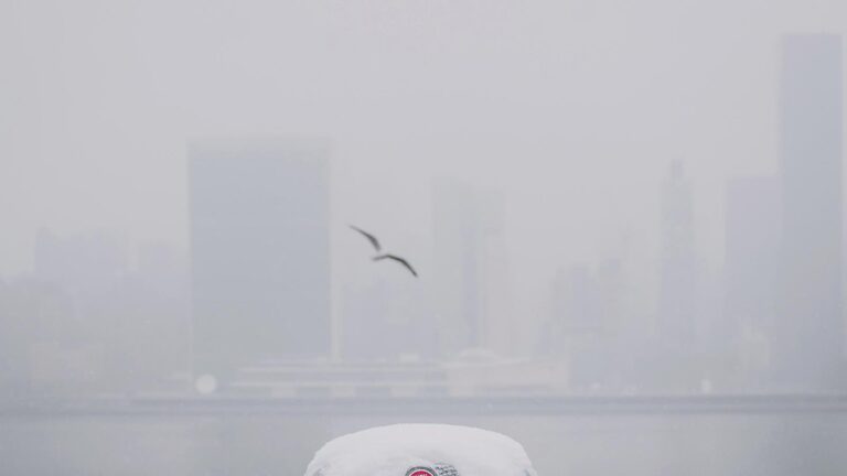 "In a haze" photograph by Silvie Bonne