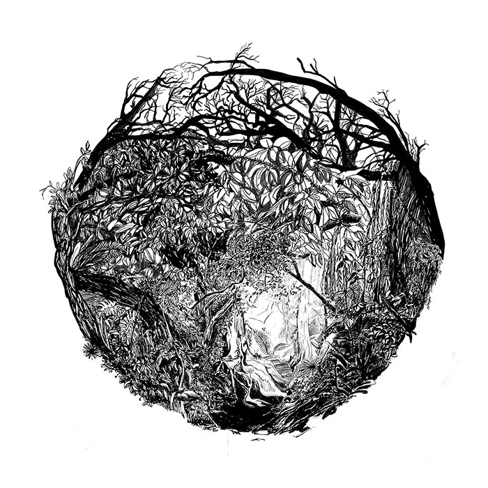 'Abyss' artwork by Bianca Boshoff