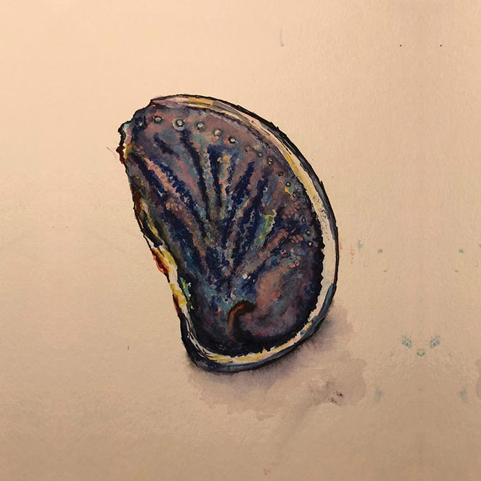 'Hidden gems' artwork by Bridget Scarr