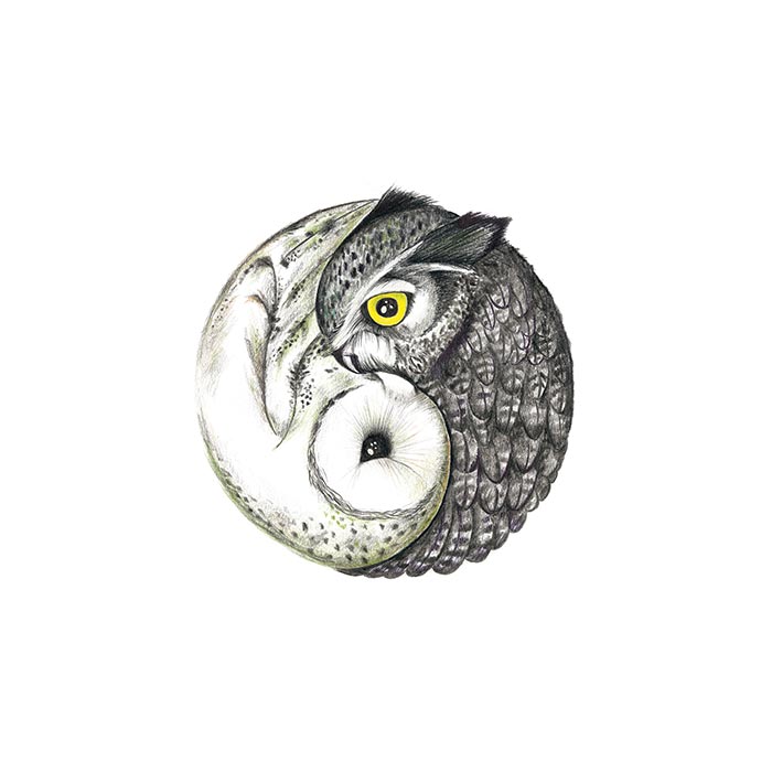 'Owl Yin and Yang' artwork by Charl Malan