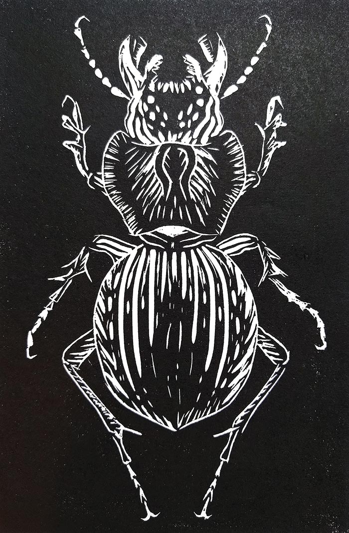 'Carabid' artwork by Naomi Roux