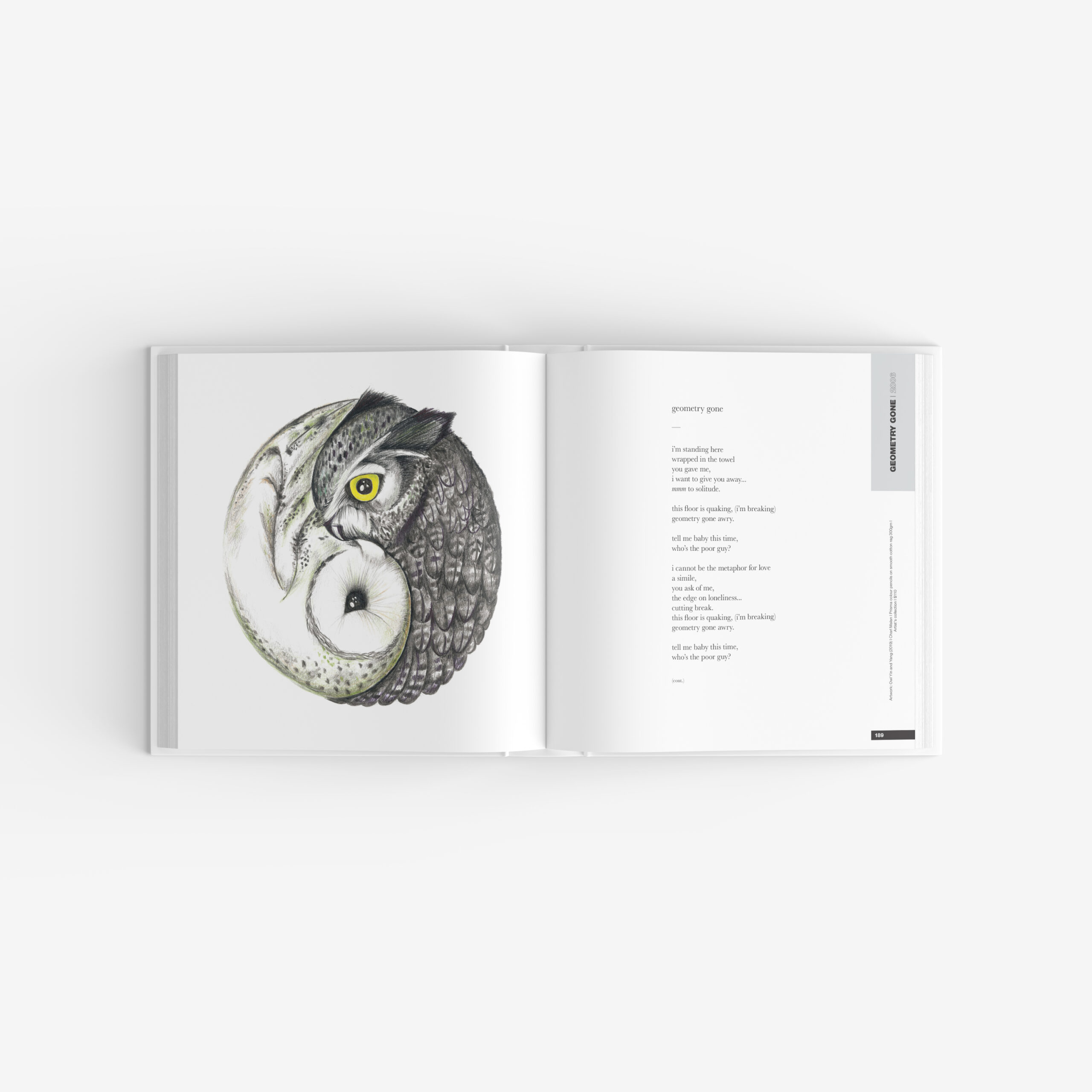 'Owl Yin and Yang' artwork by Charl Malan